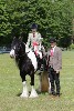 thornton-le-dale-gala showclass7acharity25-5-20247